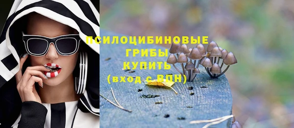 ГАЛЛЮЦИНОГЕННЫЕ ГРИБЫ Алзамай