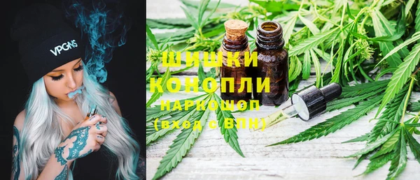 ГАЛЛЮЦИНОГЕННЫЕ ГРИБЫ Алзамай