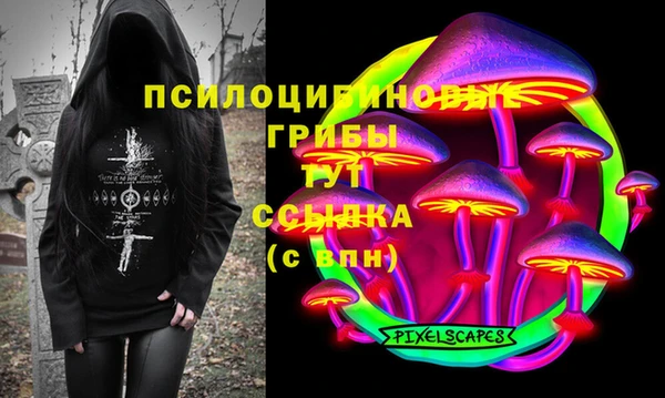 ГАЛЛЮЦИНОГЕННЫЕ ГРИБЫ Алзамай