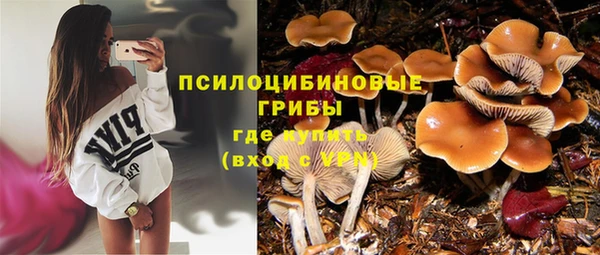 ГАЛЛЮЦИНОГЕННЫЕ ГРИБЫ Алзамай