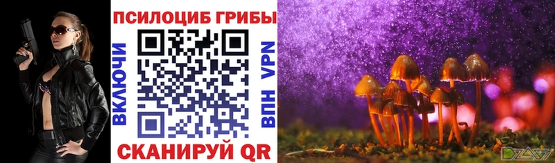 Псилоцибиновые грибы Cubensis закладки Пущино